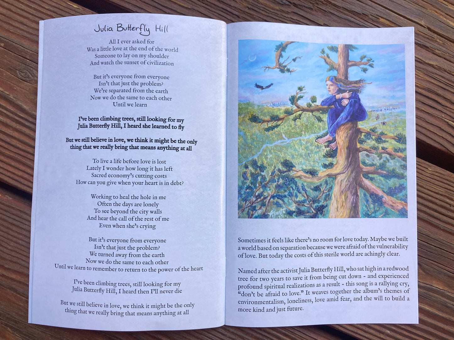 Lyrics and Art Booklet - Love and Other Acts of Subversion