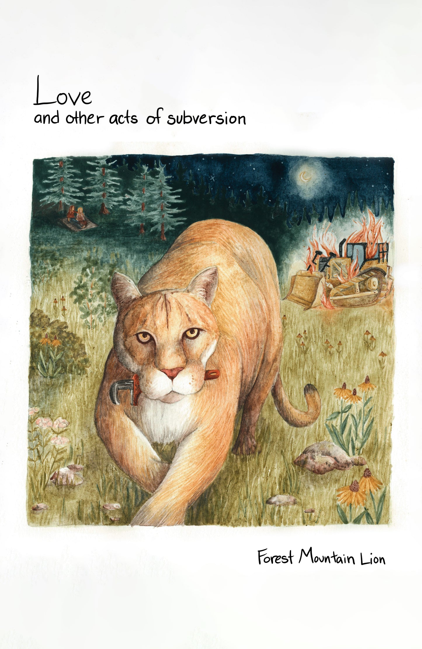 Lyrics and Art Booklet - Love and Other Acts of Subversion